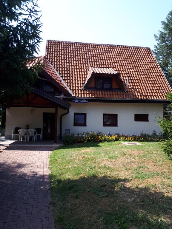 Apartmani U Borovoj Sumi Zlatibor Kültér fotó