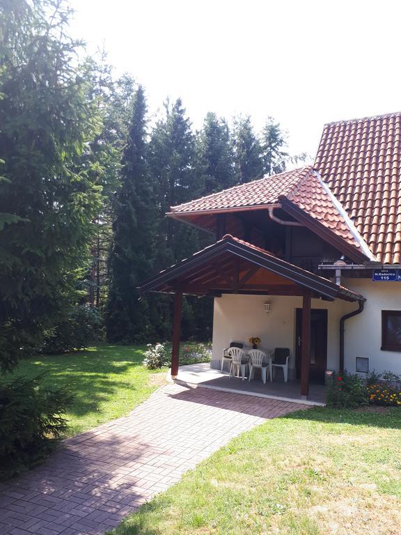 Apartmani U Borovoj Sumi Zlatibor Kültér fotó